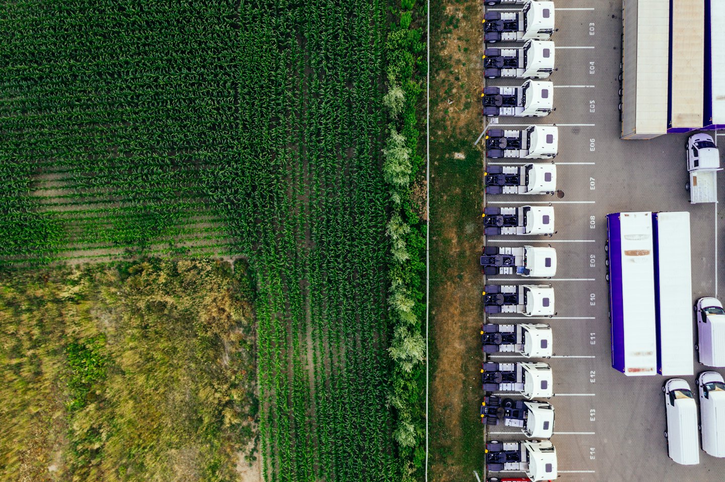 Beyaz yarı römorklar, römorkların yanında modern bir lojistik merkezinde park edilmiş.